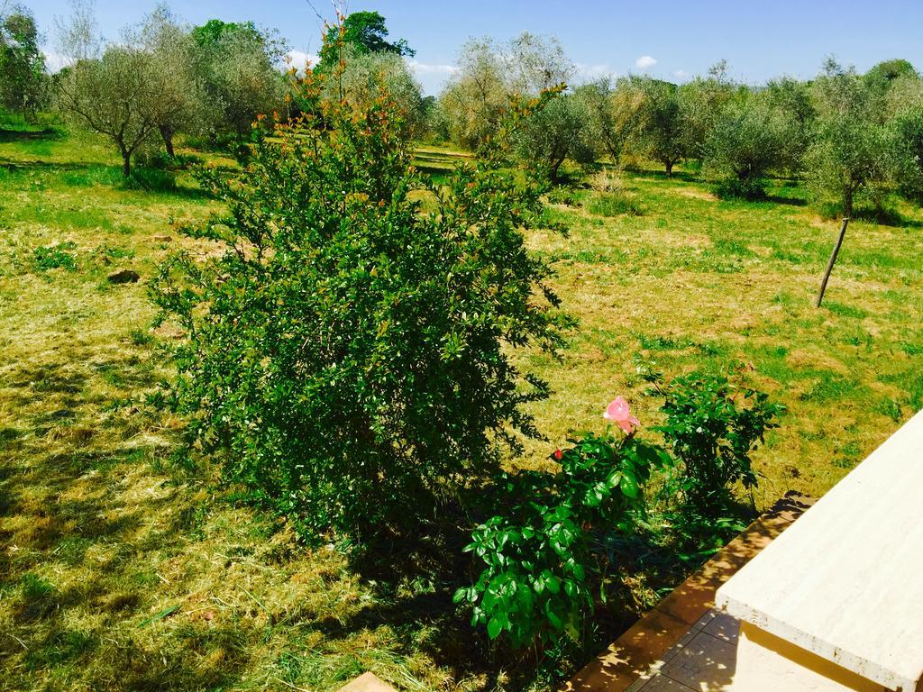 Country House Maremma Nel Tufo * Pitigliano
