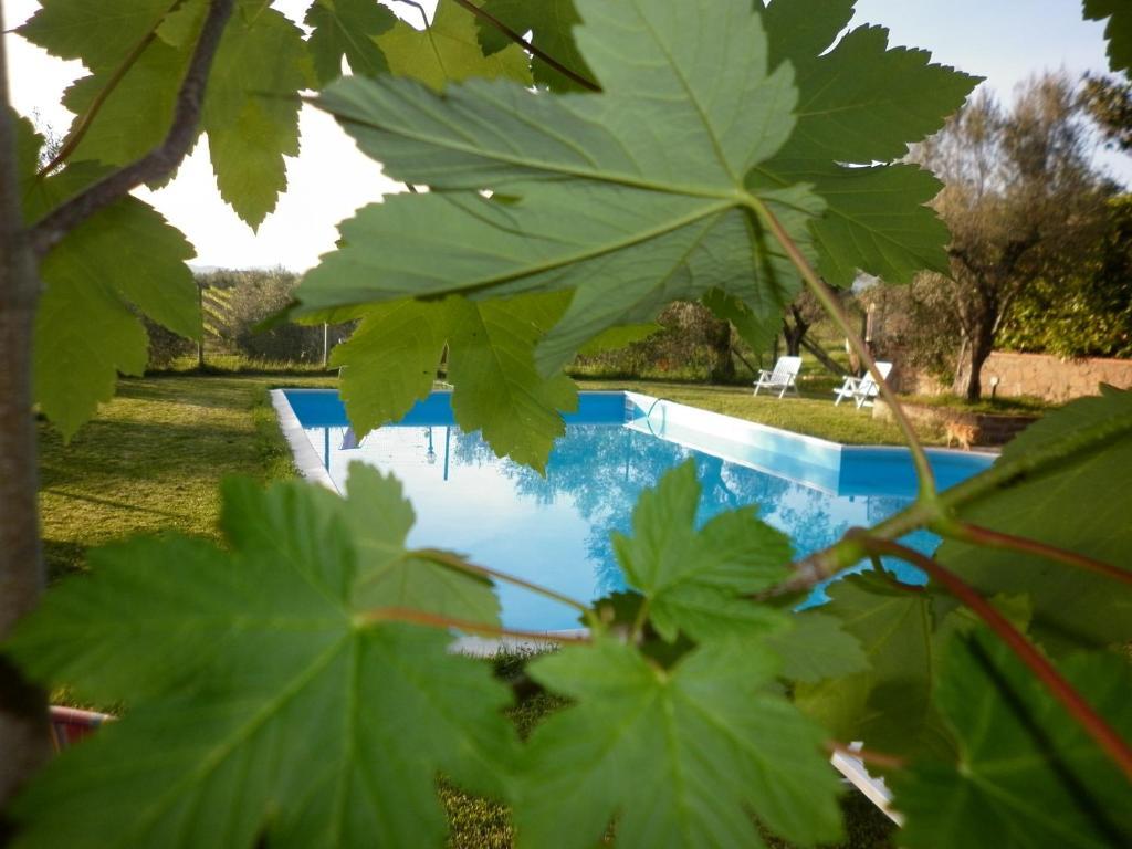 Casa de Campo Maremma Nel Tufo