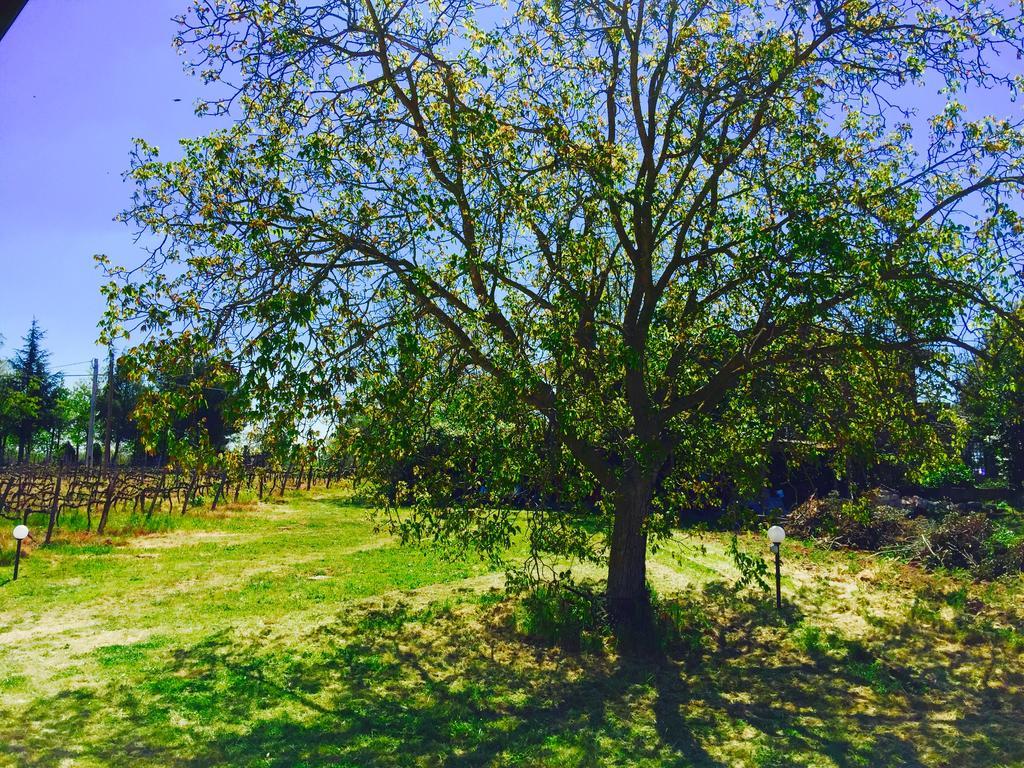 Country House Maremma Nel Tufo *