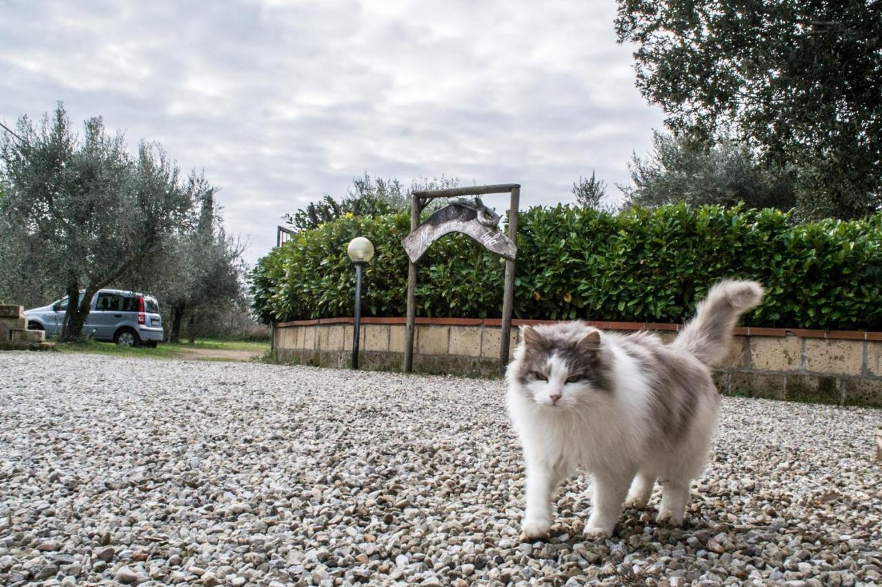 Casa de Campo Maremma Nel Tufo